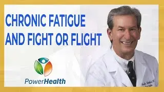 Chronic Fatigue and Flight or Flight