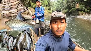 FISHING CAMP BERMALAM DI HULU SUNGAI KAMPAR BERBURU IKAN MAHSEER RAJANYA IKAN SUNGAI