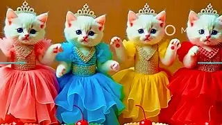 Dudi Dudi Dam Dam Cat Dance 😻 | Meow Mo Viral DanceCute Cats Dancing on Dudi Dudi Dam Dam Music 🐱💃