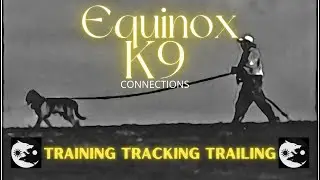 Mantrailing UK- Showing the lost scent indication & Special Bonus Feature