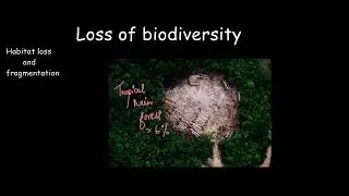 Loss of biodiversity - the evil quartet | Biodiversity and conservation | Biology | Khan Academy