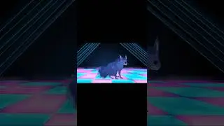 Dancing dog time