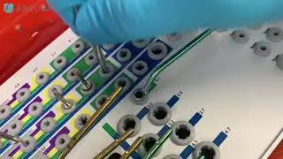 Hands-on guided surgery course BioHorizons Arklign