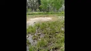Mud jumper