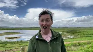 Visit a birdwatching hide at RSPB Pulborough Brooks (with children's author M. G. Leonard)