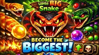 Little BIG Snake &ndash; Grow Fast & Become the Biggest Snake! 🐍🔥
