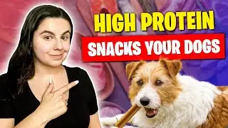 Top High-Protein Dog Treats In 2026