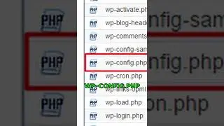 How to update database connection details in WordPress #shorts