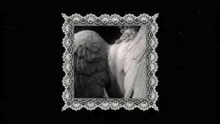 5hy - BONES