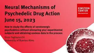How to Study the Effects of Serotonergic Psychedelics | Dr. Enzo Tagliazucchi