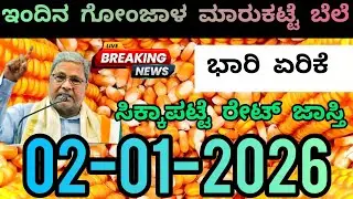 Today Maize Seeds Market Rate | ಇಂದಿನ ಗೋಂಜಾಳ ಮಾರುಕಟ್ಟೆ ಬೆಲೆ #maize #maizeseeds #marketing #rate 