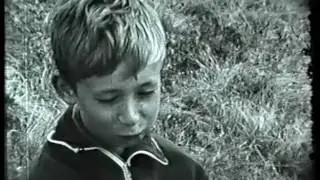 fjelldokk