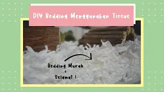 DIY Bedding Hamster Menggunakan Tissue