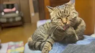 This is my best bed 20251206