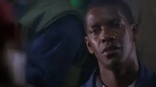 Lippizan Crimson Tide 1995