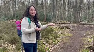 Blossome Forest Bathing
