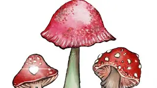 MUSHROOM HEAVEN! from Agaric to Shaggy 😜🍄🍄&zwj;🟫