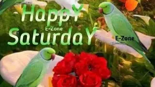 Good morning saturday pictures 📸