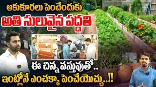 ఆకుకూరలు పెంచేందుకు  అతి సులువైన పద్ధతి | The Easiest Way To Grow Greens | Pots | Rythanna Nestam
