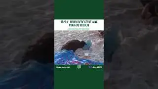 18/01/2023- Urubu Bebe Cerveja na Praia do Recreio 🍺 | FalaRio2