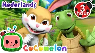 De Schildpad En Het Konijn | Cocomelon | Moonbug Kids Nederlands - Kindertekenfilms