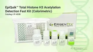 Total Histone H3 Acetylation Detection Fast Kit | EpiQuik User Guide