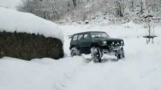Traxxas trx4 sport jeep and RGT bronco. RC's, dogs and snow!