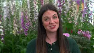 RHS Chelsea Flower Show 2022 E03