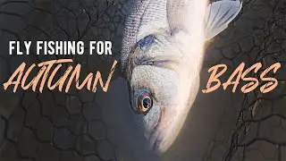 Autumn Fly Fishing For Bass | Saltwater Fly Fishing UK