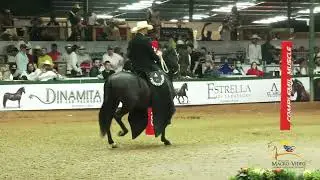 Bez diego campeón nacional 2021