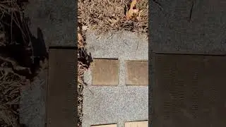 Slave Grave Marked 
