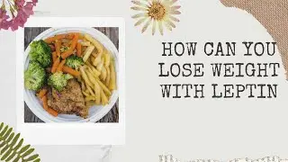 How Leptin Affects Fat- Leptitox