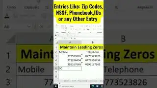 Maintain Leading Zeros in Excel