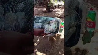 #cookingoutside let's cook Magopelo/Mogodu/tripe🔥