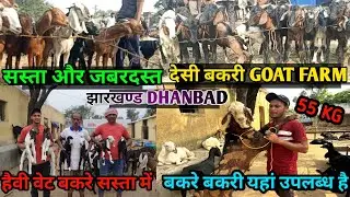 सबसे सस्ता बकरी दे रहे हैं झारखंड मे ला कर || goat farming  DR AGRO GOAT FARM | Bakari Bajar Dhanbad