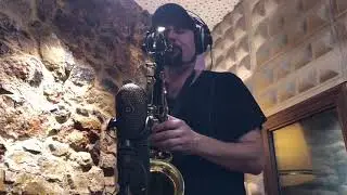 Dani herrero ACME STUDIOS FLAMENCO POP
