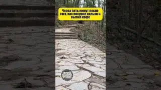 Ужасно! 😂 #hookahblog #nuahule #юмор #hookah #топ #hookahtime #shisha #memes #hookahlife