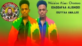 Walaloo yaaddannoo Amajjii 1 guyyaa WBO DADDAFAA ALISHOO January 8, 2026