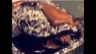 [Dank Memes] Filthy Frank Hair Cake is Perfection [Dank Memes]
