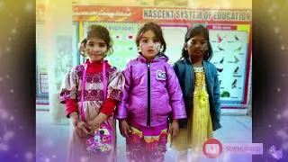 Color Day Activities Video # 3 | Indoor Game | Kids Playing | NSE BWP