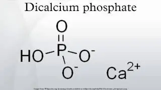 Dicalcium phosphate