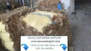 Bulk Wool Exporter Indian