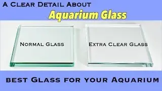 A Clear Detail About Aquarium Glass | Tamil |