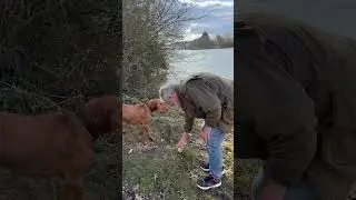 Swimming in the cold river Medina #Bruno