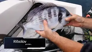 UDICOM PO GUŠTE   4  dio