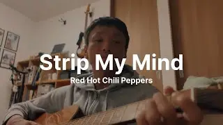 Red Hot Chili Peppers - Strip My Mind | アコースティック弾き語りカバー