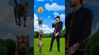 haathi  sher billi and bear coming out of fruits vfx short video #shorts #youtubeshorts #shortsfeed