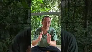 ON ASCENSION SYMPTOMS - FULL BLOOD MOON ECLIPSE - MAY 2022 - IT&rsquo;S INTENSE FOR THOSE WHO CAN FEEL IT!
