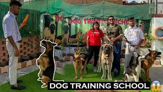 India&rsquo;s Best Dog Training School For Aggressive Dogs😱