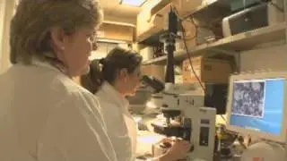 Research Saves Lives
